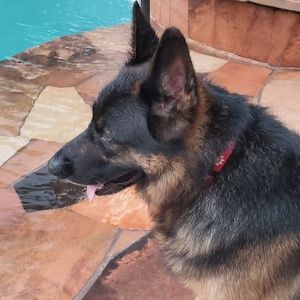 Meet your Posher, Graciela